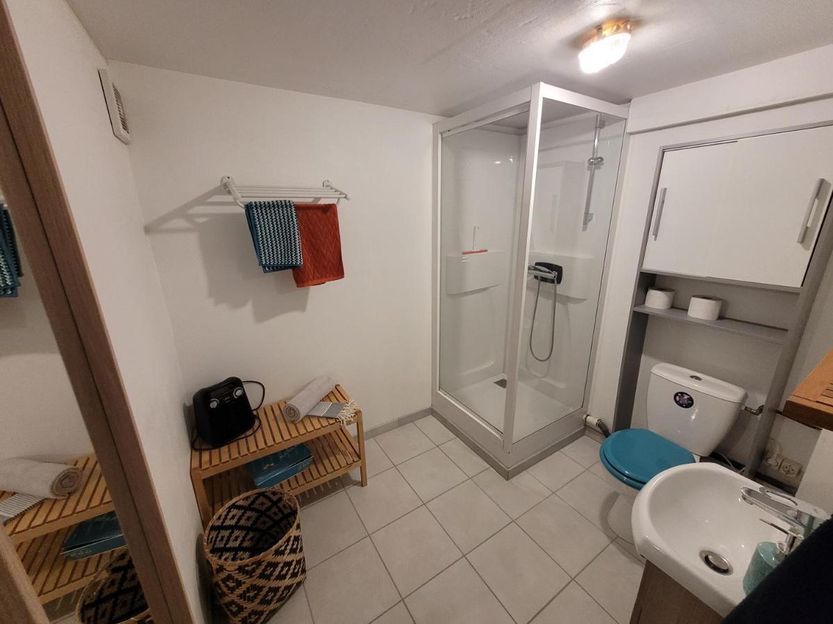 Sur Les Bords De Loire Apartment มงต์ลุยส์-ซูร์-ลัวร์ ภายนอก รูปภาพ