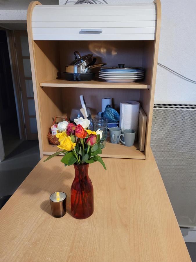 Sur Les Bords De Loire Apartment มงต์ลุยส์-ซูร์-ลัวร์ ภายนอก รูปภาพ