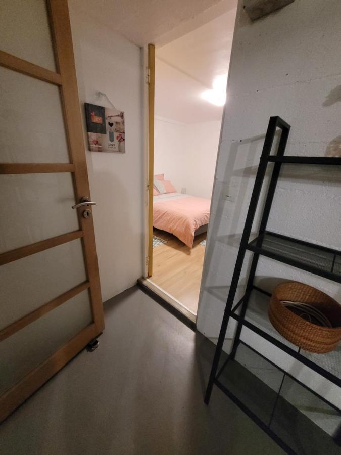Sur Les Bords De Loire Apartment มงต์ลุยส์-ซูร์-ลัวร์ ภายนอก รูปภาพ